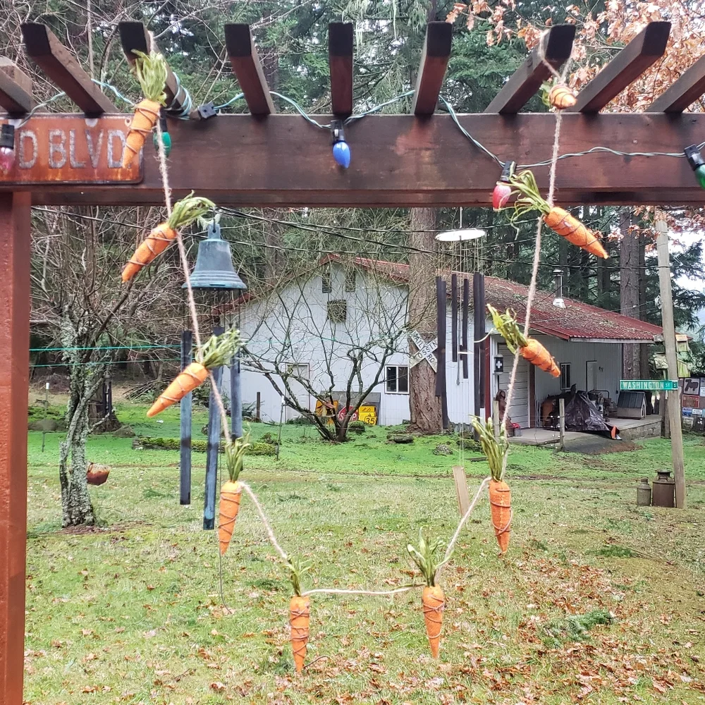 Source Unknown carrot garland